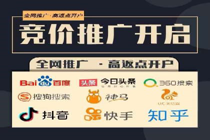 某企业通过百度SEM实现ROI最大化的案例